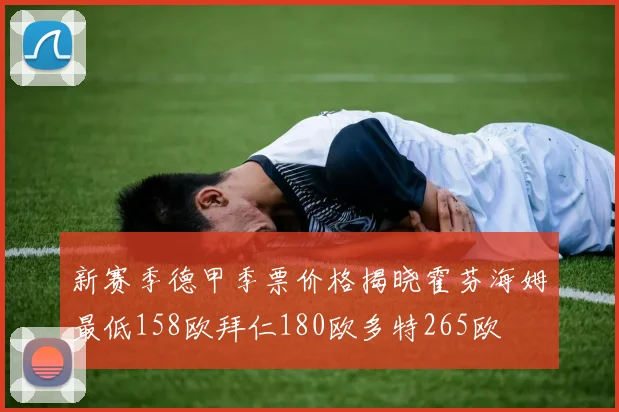 新赛季德甲季票价格揭晓霍芬海姆最低158欧拜仁180欧多特265欧