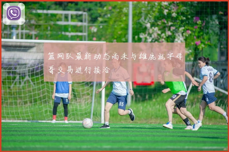 篮网队最新动态尚未与雄鹿就字母哥交易进行接洽