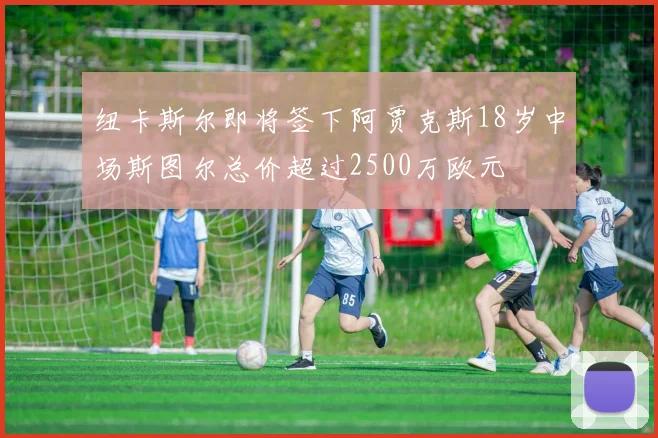 纽卡斯尔即将签下阿贾克斯18岁中场斯图尔总价超过2500万欧元