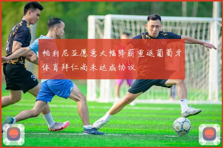 帕利尼亚愿意大幅降薪重返葡萄牙体育拜仁尚未达成协议